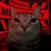 Random Cat's 🐈🐈‍⬛ 14