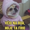 VÉIO NA BOA, HOJE TA FRIO