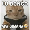LU DONGO APA GIMANA