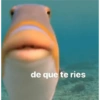 de que te ries