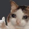 Cat Meme 9