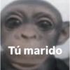 Tú marido