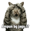 Ampun bg jago.!?