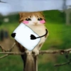 Meowl Michi cute 🥺🩷✨ 29