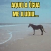 AQUELA ÉGUA ME ILUDIU....