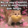 No te voy a mentir, eres lo más bonito que tengo. 20.0 D. B geysioy