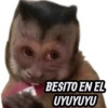 BESITO EN EL UYUYUYU
