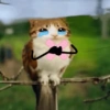 Meowl Michi cute 🥺🩷✨ 18