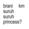 brani km suruh suruh princess?