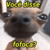 Você disse fofoca?