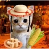 CHEGOU O SÃO JOÃO 🧑‍🌾🎉🌽 12