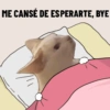 ME CANSÉ DE ESPERARTE, BYE