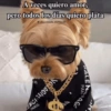 A veces quiero amor, pero todos los días quiero plata descarada.deMente ENCISCO PARIS FALEN PAR GA AGA N