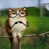 Meowl Michi cute 🥺🩷✨ 24