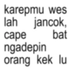 karepmu wes lah jancok, bat cape ngadepin orang kek lu