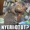 NYERI OTOT?