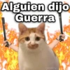 Guerra mundial💣💥 memes🔥 14
