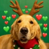 PEIXÃO DE NATAL 5
