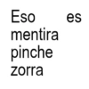 Eso mentira pinche zorra es