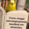 Play na semana 9