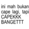 KATA KATA ANOMALI CAPE 5