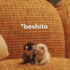 Gatitos bonitos 💗 25