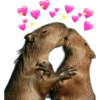 Capybara 🌻 17