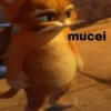 Memes estranhos 😶‍🌫️ 12