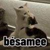 bésamee