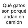 Qué gatos son porqué andan en camión