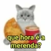 GATINHOS SHITPOST  10