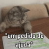 Esse menino eu não sei não 5