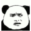 Panda douyin meme 5