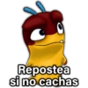 🐛🪴 BAJOTERRA 🪴🐛 7