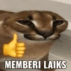 MEMBERI LAIKS