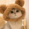 🧿Animalitos Cute para  Chat🐈🐶 14