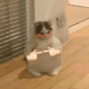 Gatos cute😎amor 2😎 10