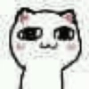 Cat Face
