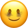 Twitter  23