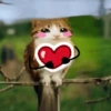 Meowl Michi cute 🥺🩷✨ 21