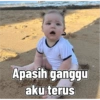 Dedek kamari 14