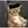 MEME WISUDA LIDI & KUCING🎓 12