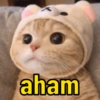 aham