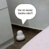 Zoações 11