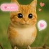 Meowl Michi cute 🥺🩷✨ 12