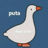 Reações + patinhos 🦆 6