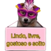 Placas de carnaval quente🔥🔥 15