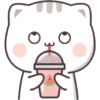 Kucing gemoy 14