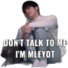 DON'T TALK TO ME I'M MLEYOT