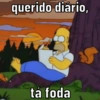QUERIDO DIÁRIO.. 11